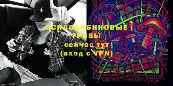 винт Пересвет
