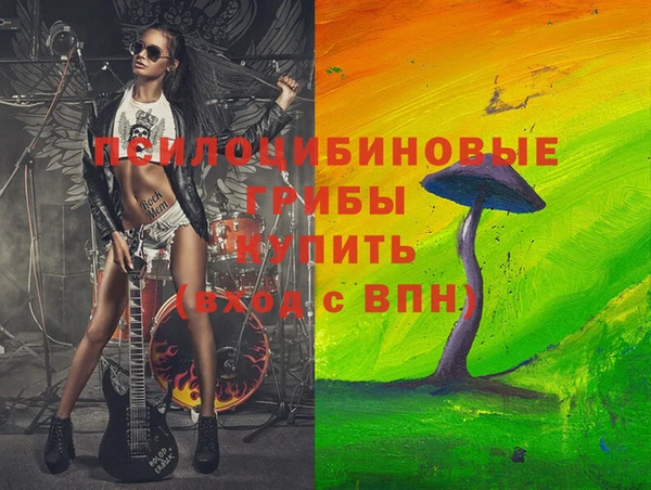 тгк Пестово