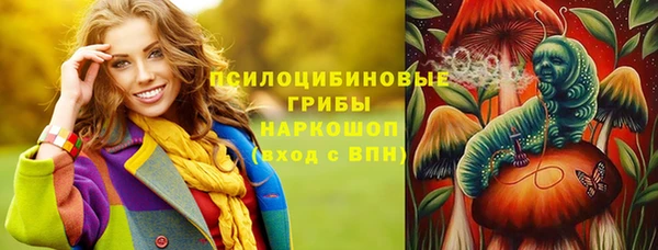 винт Пересвет
