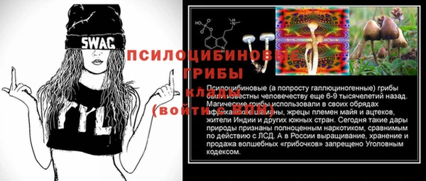тгк Пестово