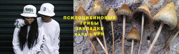 дурь Переславль-Залесский